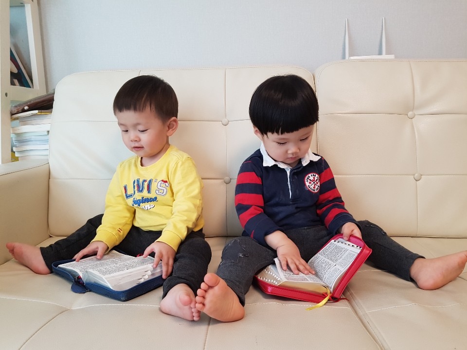 사진